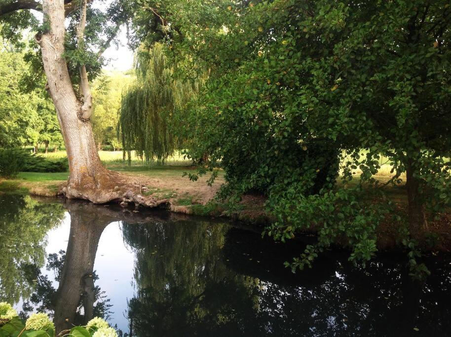 Le Foulon - Moulin De Charme - 1 Heure 30 De Paris Villa Saint-Hilaire-les-Andrésis Kültér fotó