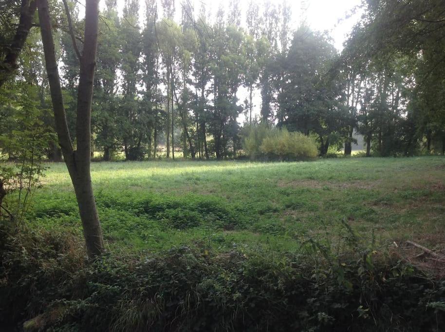Le Foulon - Moulin De Charme - 1 Heure 30 De Paris Villa Saint-Hilaire-les-Andrésis Kültér fotó