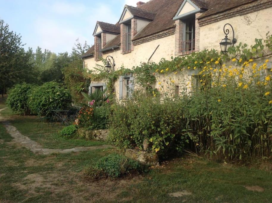 Le Foulon - Moulin De Charme - 1 Heure 30 De Paris Villa Saint-Hilaire-les-Andrésis Kültér fotó